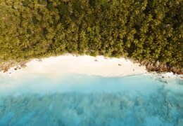 A Luxe Kenyan Safari and Seychelles Honeymoon