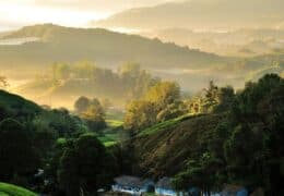 Malaysian Highlands, Heritage and Island Escape
