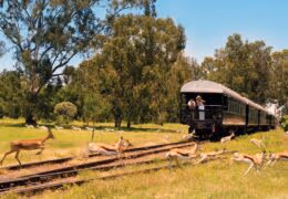A Luxury Rail Journey Through Africa