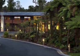 Te Waonui Forest Retreat