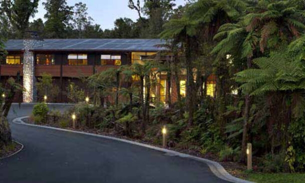 Te Waonui Forest Retreat