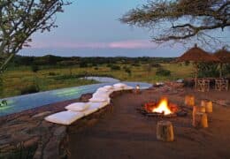 The Best of Tanzania: Your Private Migration Safari