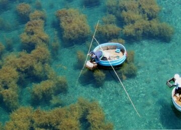 Sado Island thumbnail