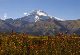 Signature Ecuador and Galapagos