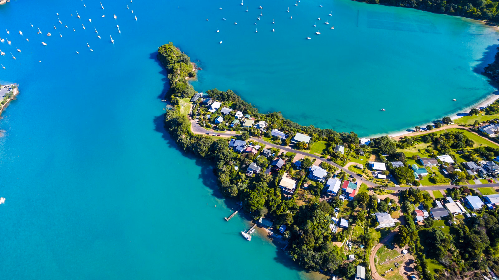putaki-bay-waiheke
