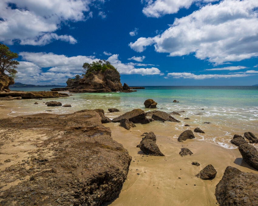 tawharanui-beach
