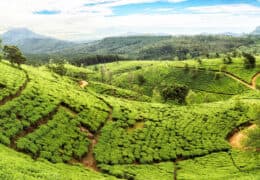 Classic Sri Lanka Circuit