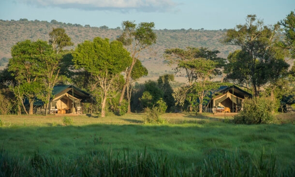 Little Governors’ Camp