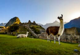 Peru and the Galápagos Luxury Tour