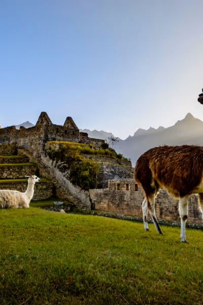 Peru and the Galápagos Luxury Tour