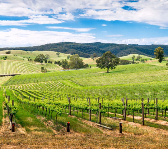 barossa-valley-australia