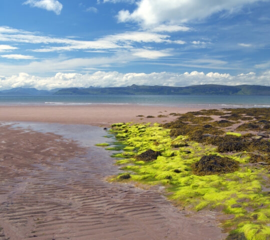 scotland-west-coast-beach