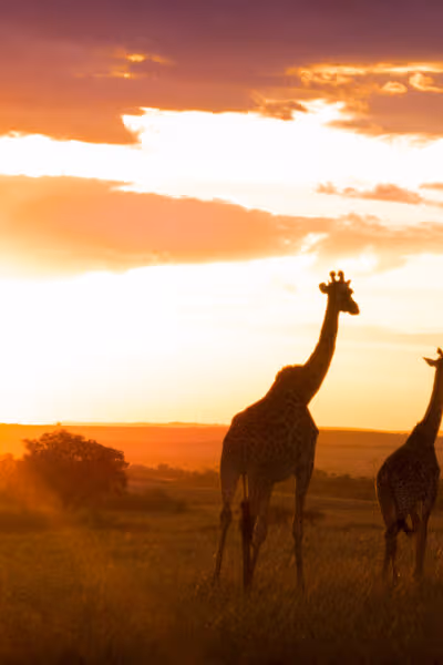 A Wildly Adventurous Tanzanian Honeymoon