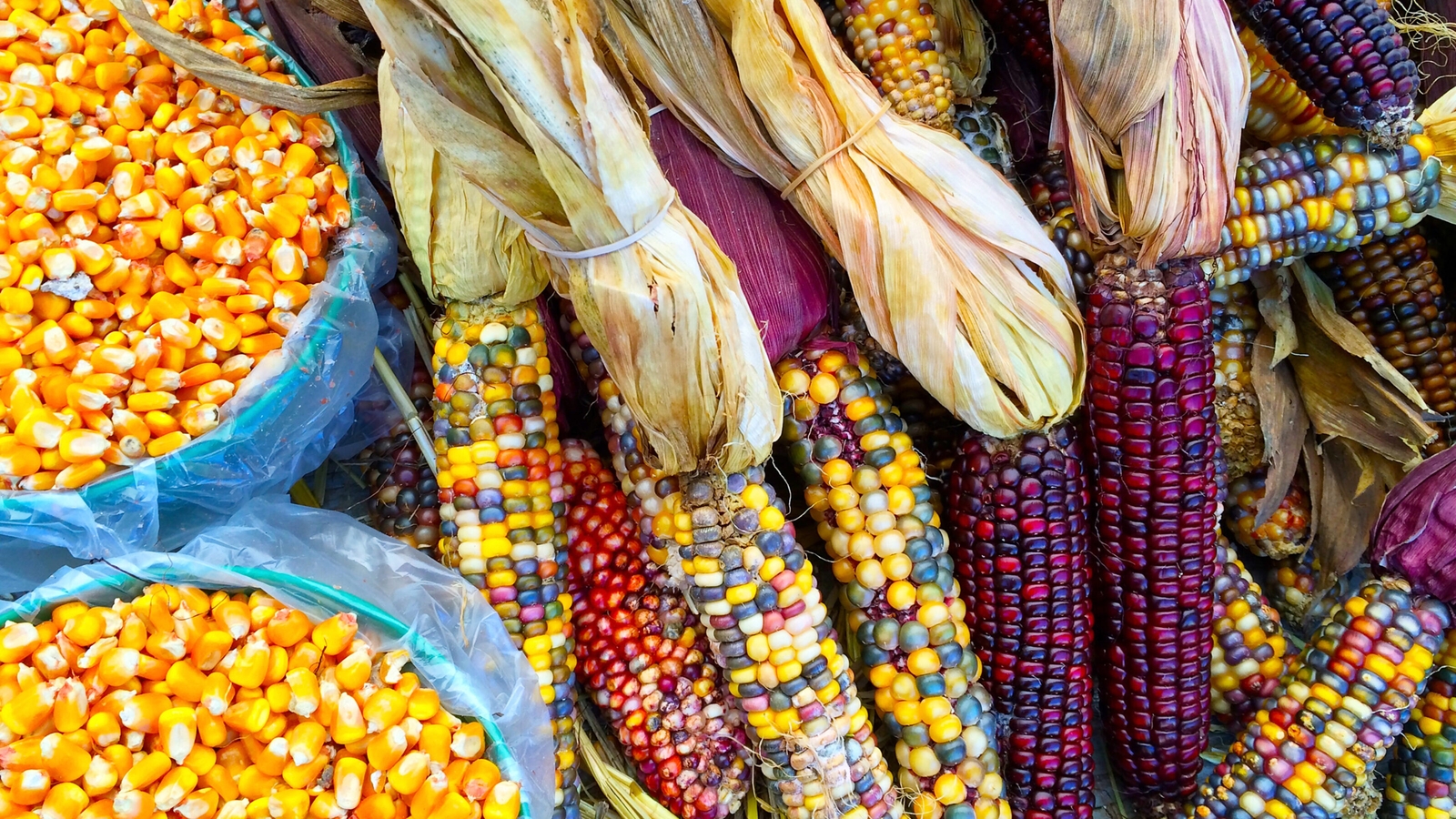 colourful-corn-peru