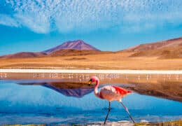 Andean High Plains Grand Tour