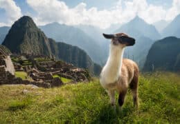 A Private Family Tour of Peru