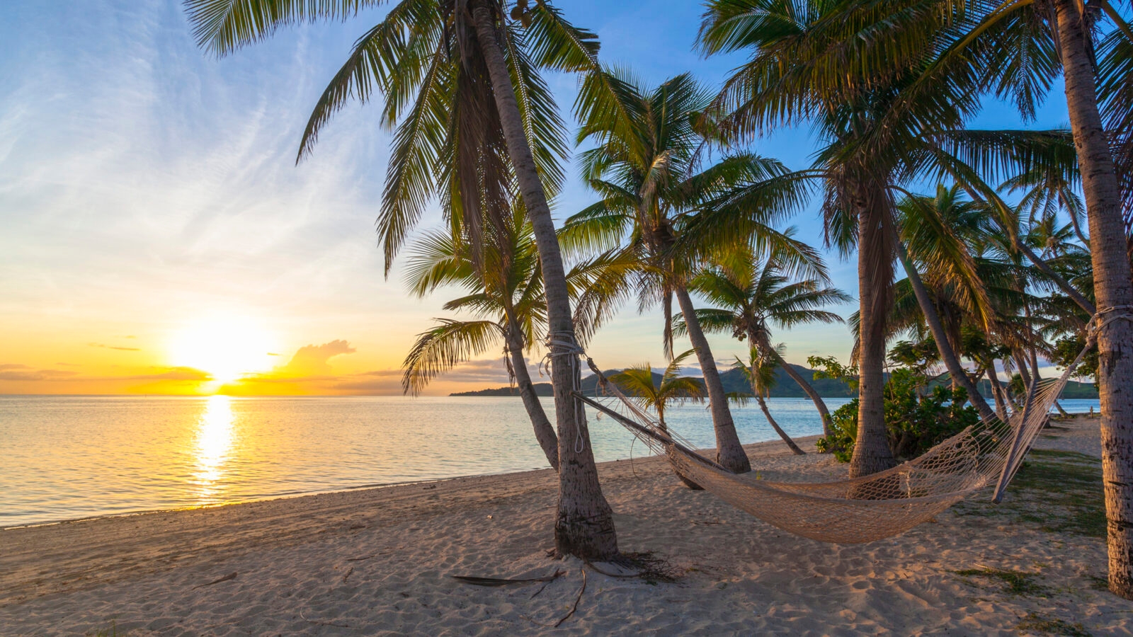 fiji-sunset-palm-trees
