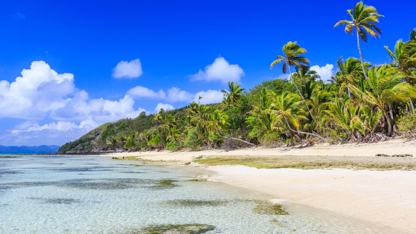 Dravuni Island, Fiji. Beach and palm trees in the South Pacific ocean.