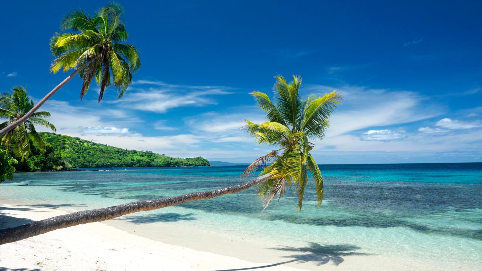 Three palm trees line a white, tropical sand beach highlighted by a beautiful deep blue sky.