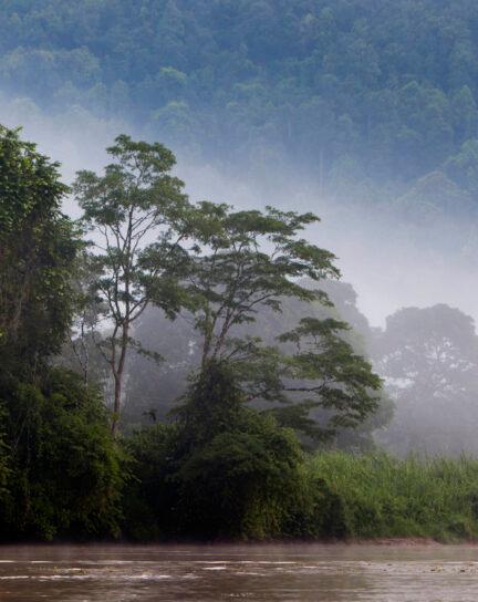 When is the Best Time to Visit Borneo?