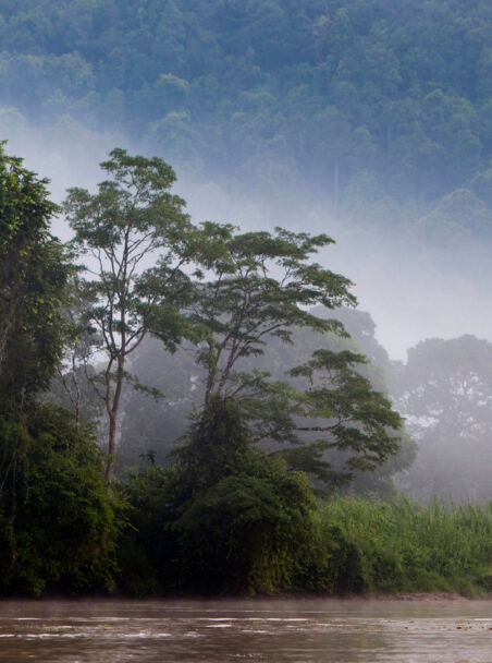 When is the Best Time to Visit Borneo?