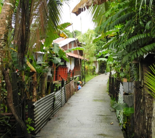 Tortuguero Village