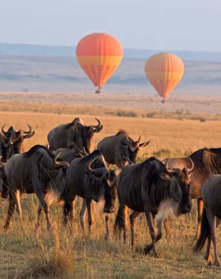 Where to Stay in Maasai Mara: Top 11 Luxury Safari Camps & Lodges