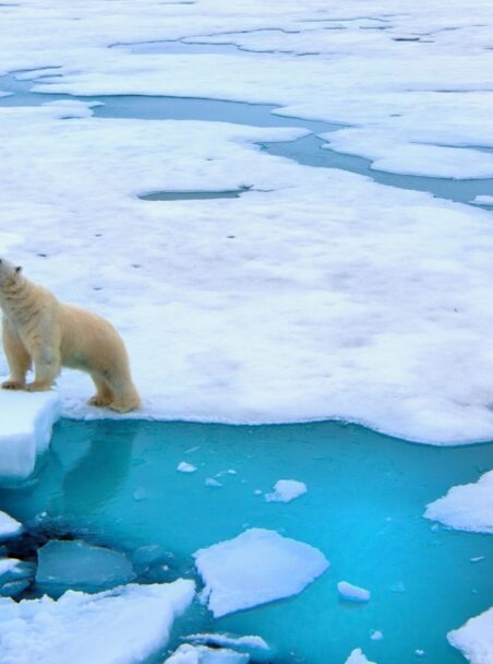 Luxury Polar travel experiences