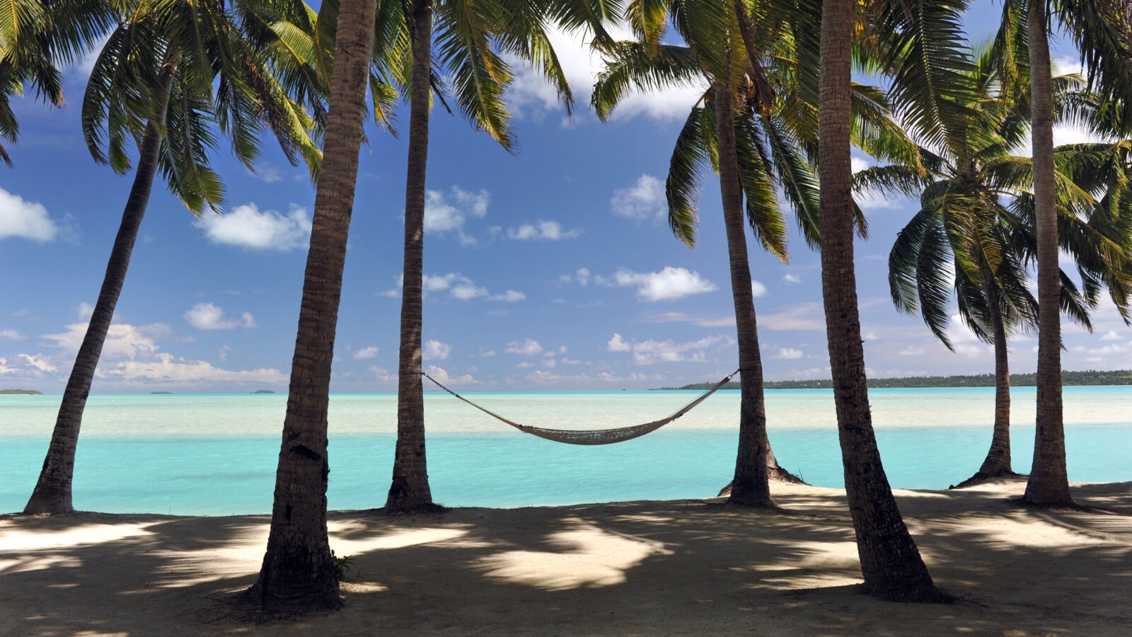 bora-bora-hammock