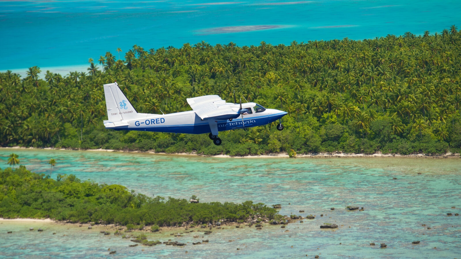 the-brando-private-plane
