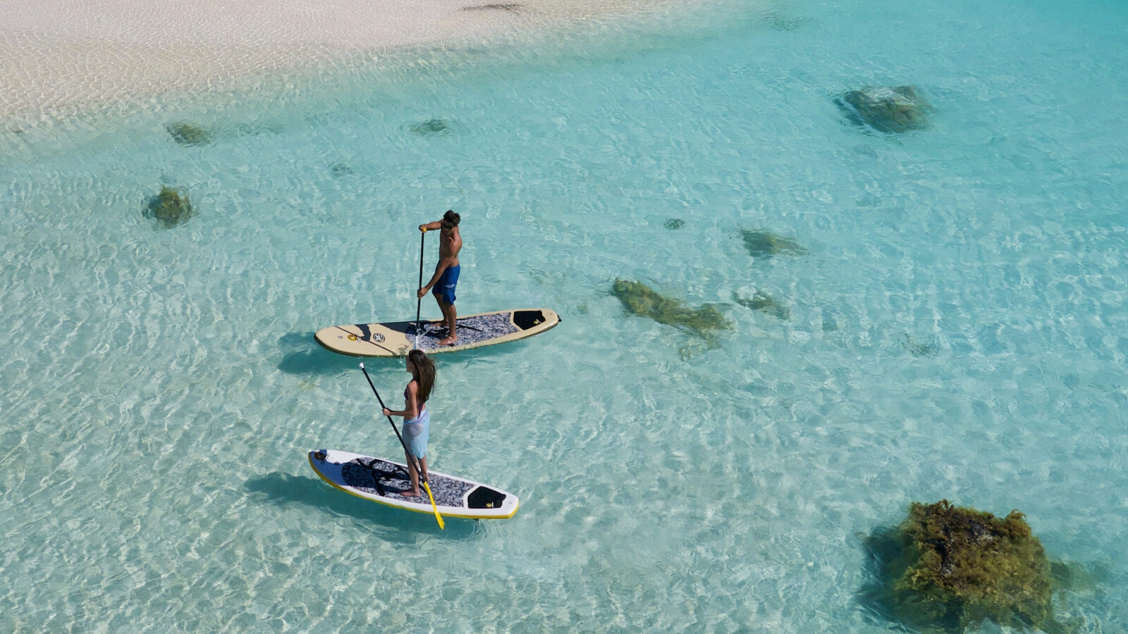 the-brando-stand-up-paddleboarding