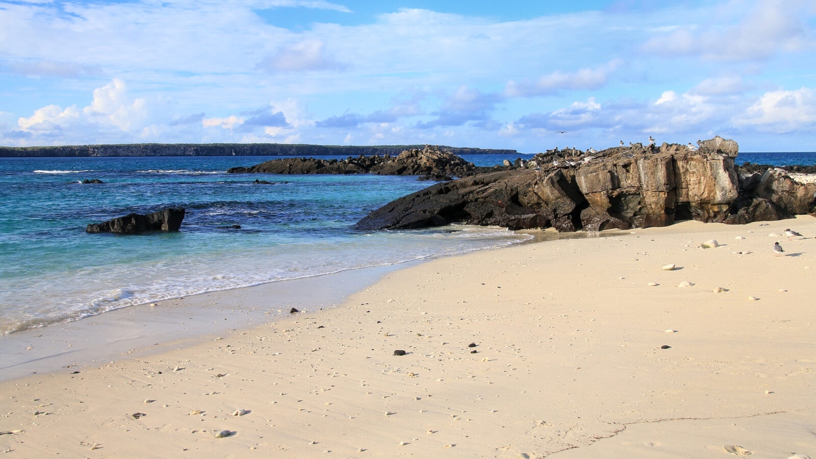 Sandy beach of Great Darwin Bay on Genovesa Island, Galapagos National Park, Ecuador