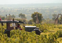 Cottar’s 1920s Safari Camp