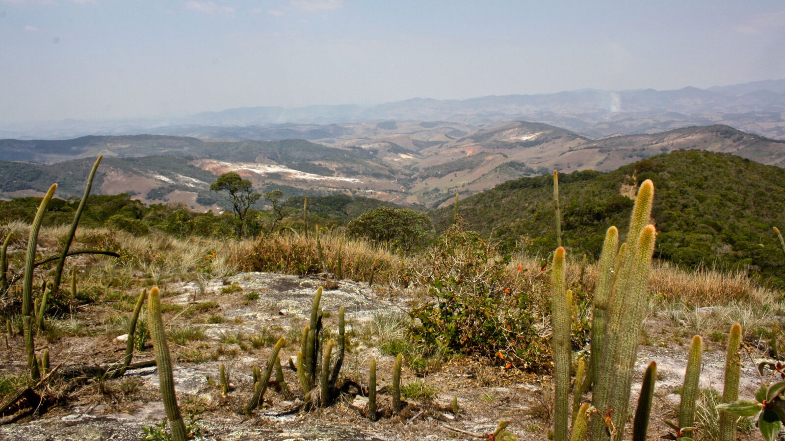ibitipoca-landscape-cactus