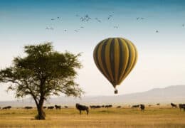 Family adventure to Tanzania