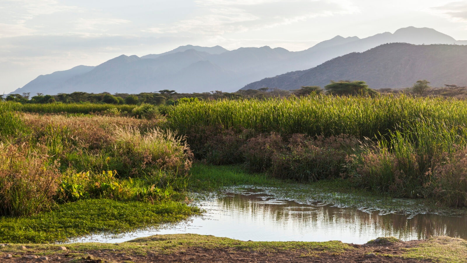 omo-valley-landscape