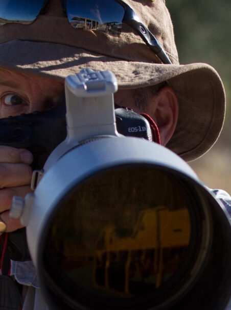 An Interview with Wildlife Photographer Paul Goldstein