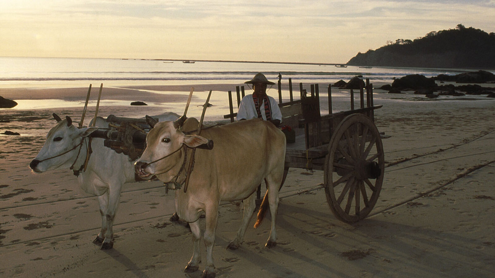 ngapali-beach-oxcart
