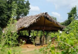Noel Rodrigo’s Leopard Safari Camp
