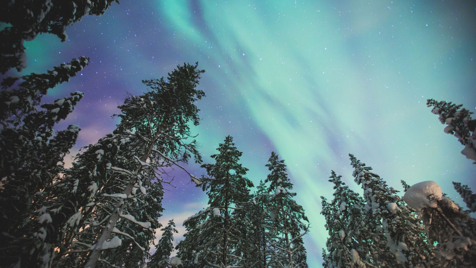 northern-lights-norwegian-lapland