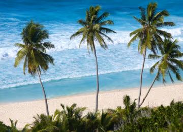 The Seychelles thumbnail
