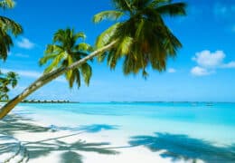 A Family Safari and Beach Adventure