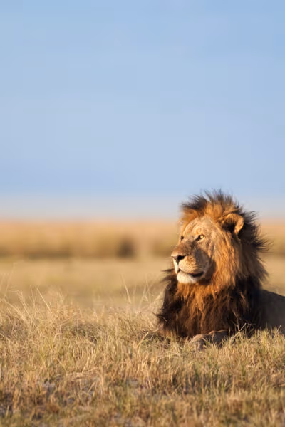 A Classic Cape, Kruger and Mauritius Beach Escape