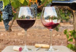 Champagne, Burgundy and Bordeaux