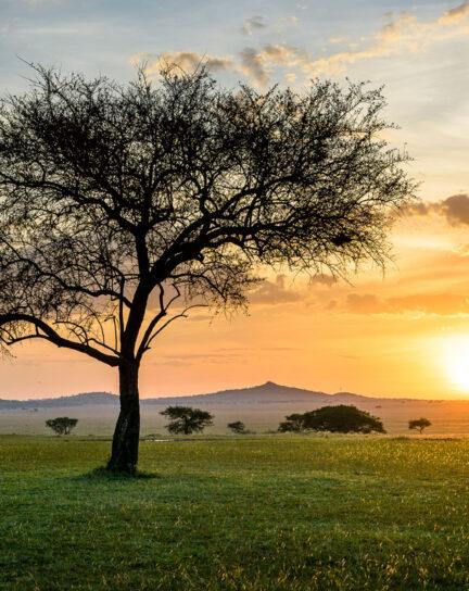 Where to Stay in Tanzania