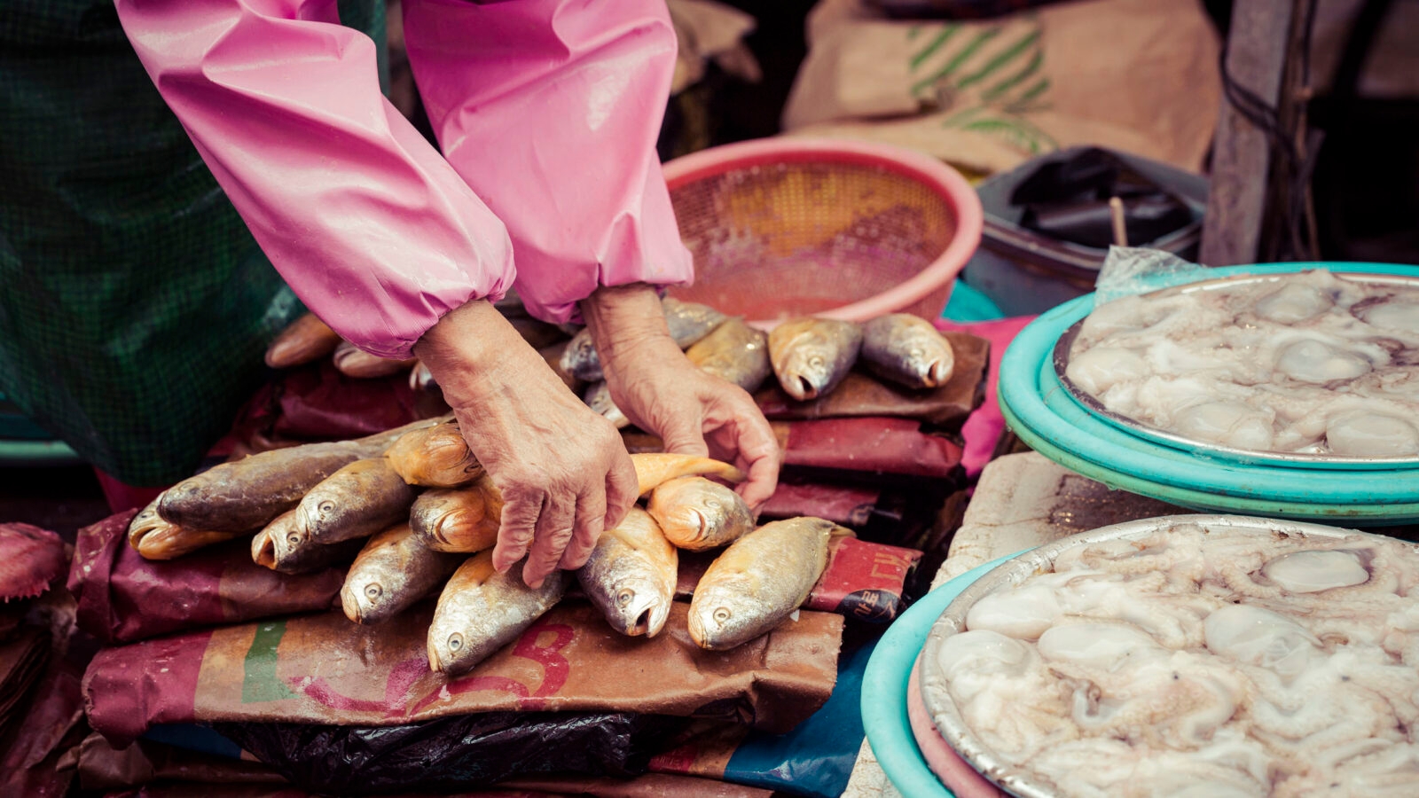 Close-up of a person's hands organizing small whole fish at an outdoor seafood market stall.