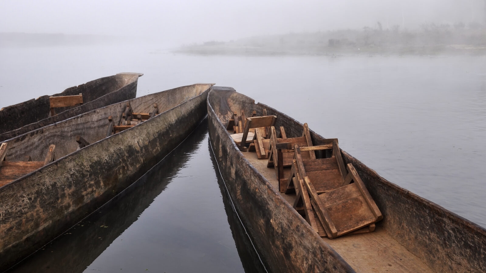 chitwan-boats