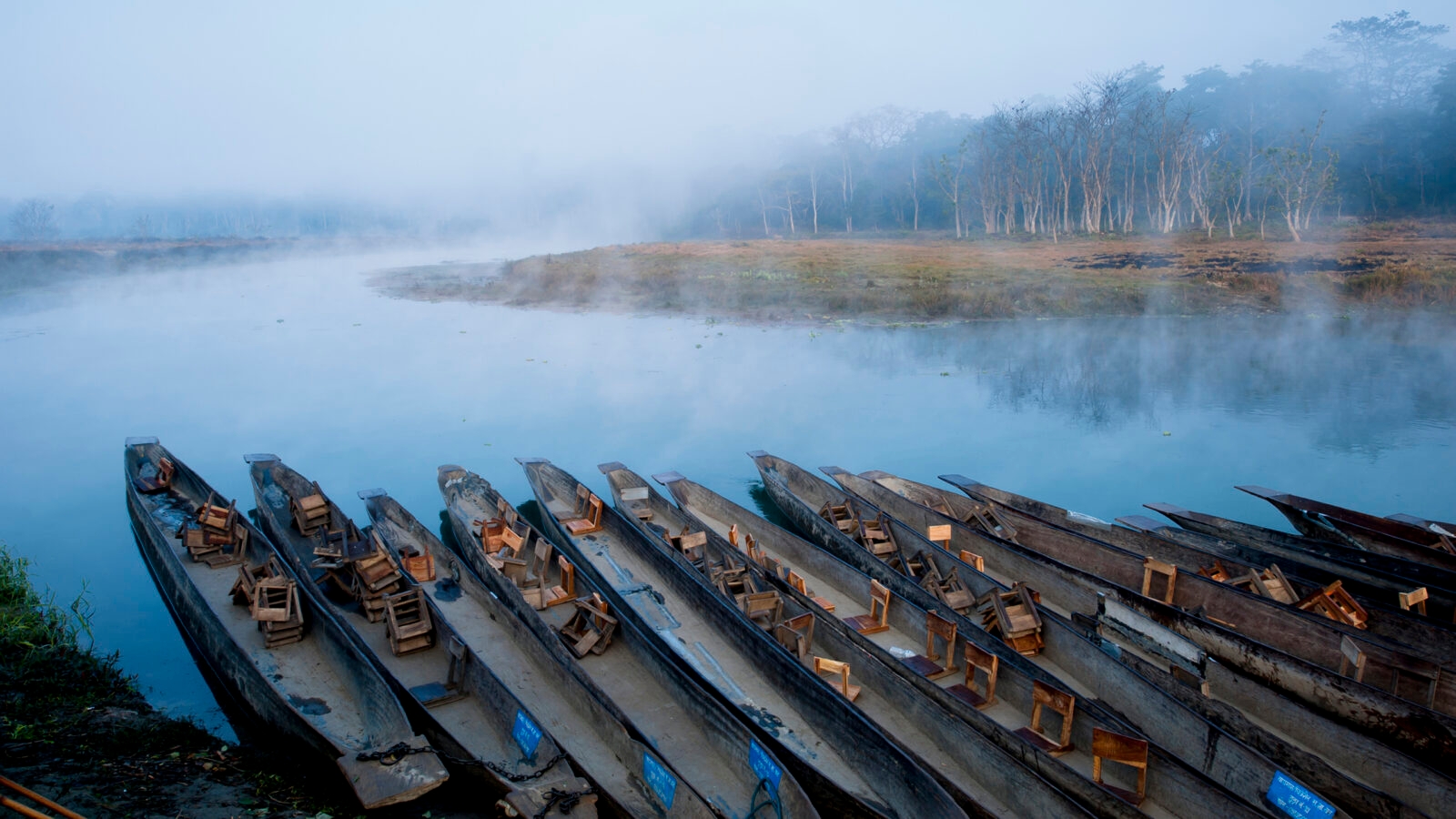 chitwan-boats