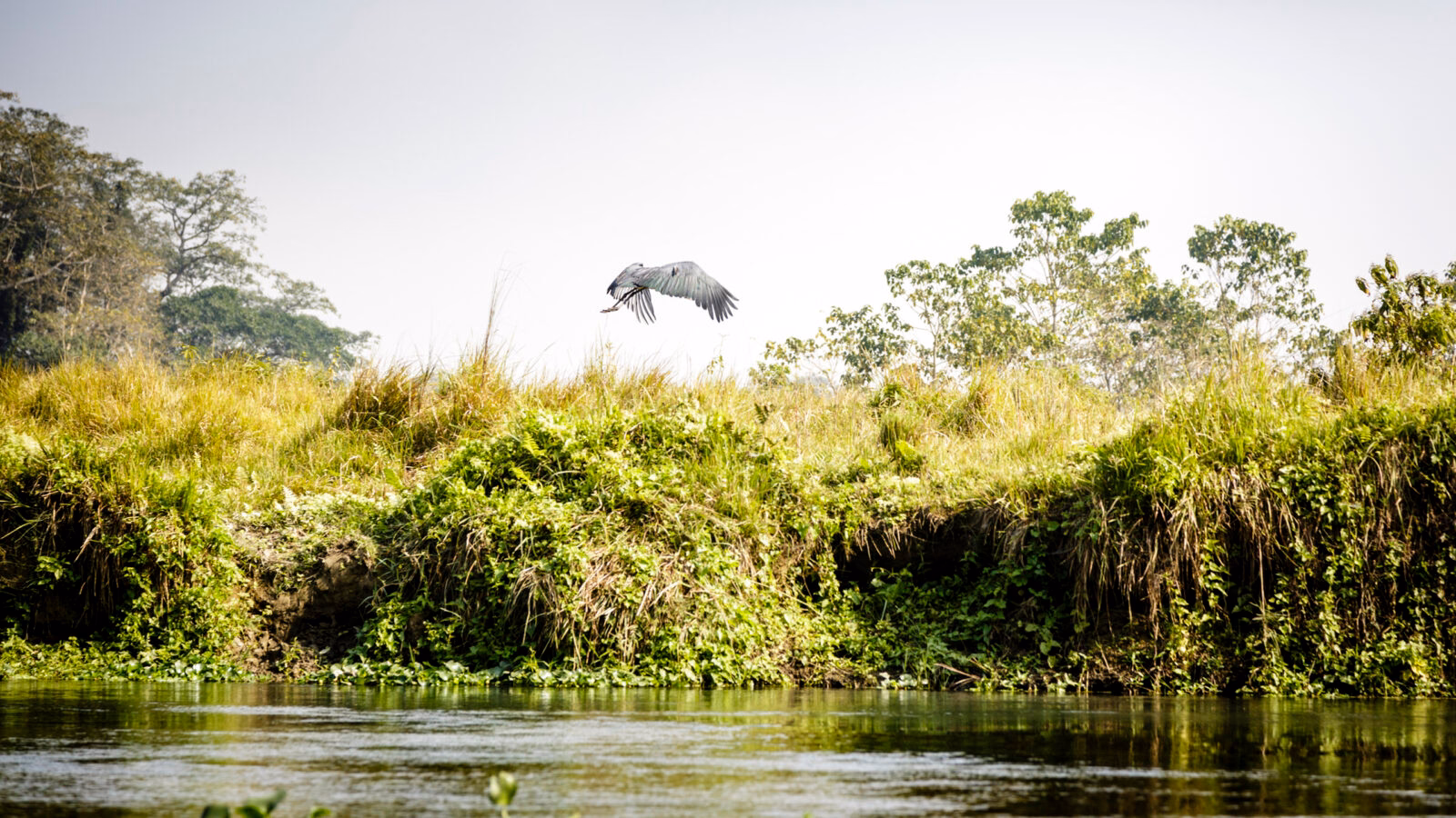 chitwan-natural-reserve-nepal