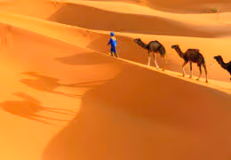 A Moroccan Grand Tour